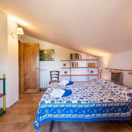 Clemente By Mmega فيلة